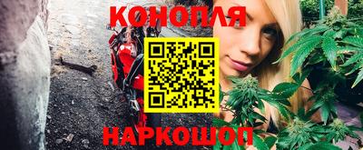 прущие грибы Добрянка