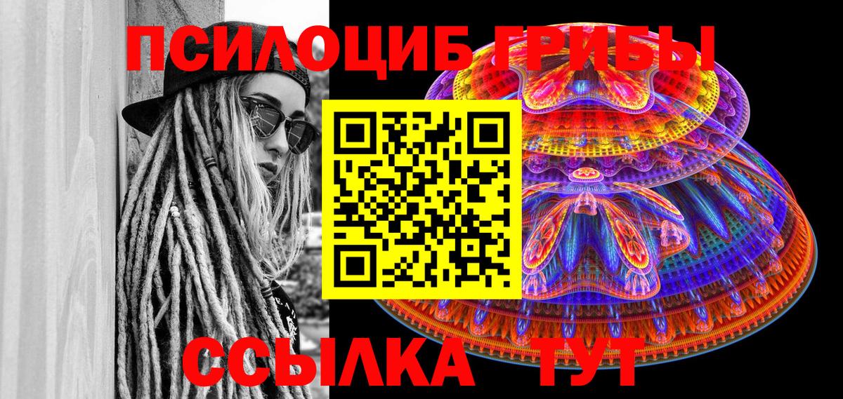 Галлюциногенные грибы прущие грибы Горячий Ключ