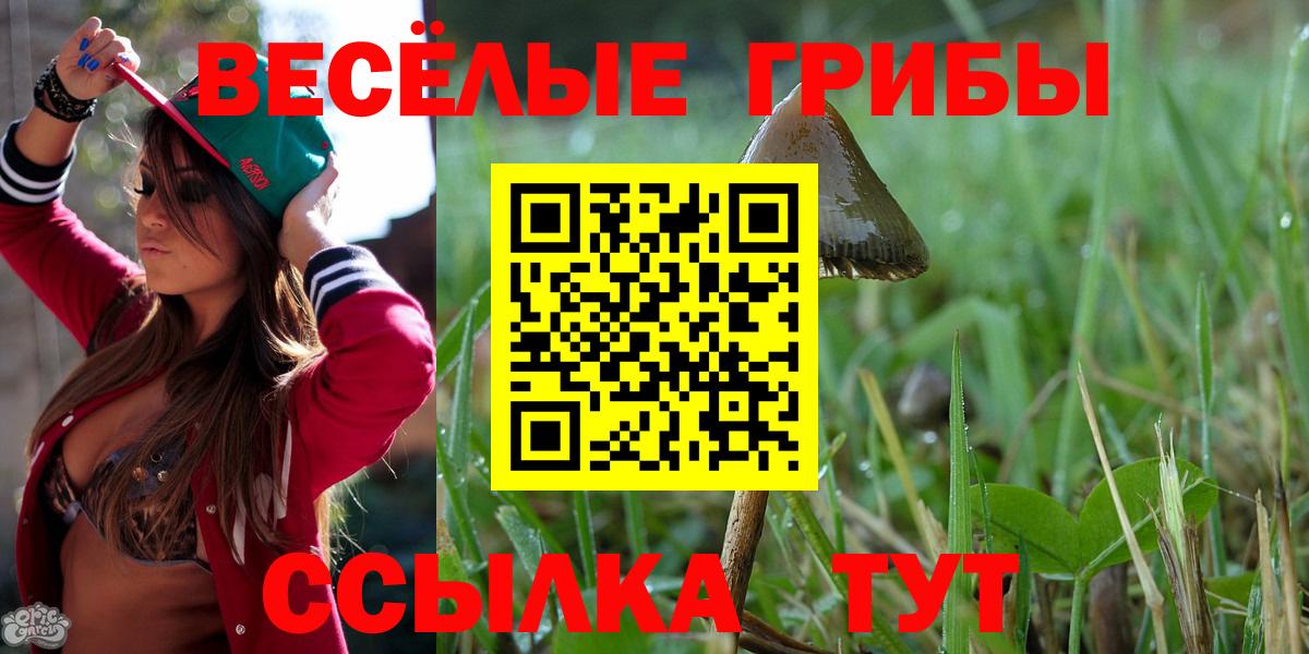 Псилоцибиновые грибы Psilocybine cubensis  Псилоцибиновые грибы ЛСД  Вход с VPN  Горячий Ключ 